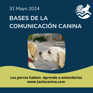 Curso Bases de la comunicación Canina - 2ª edición