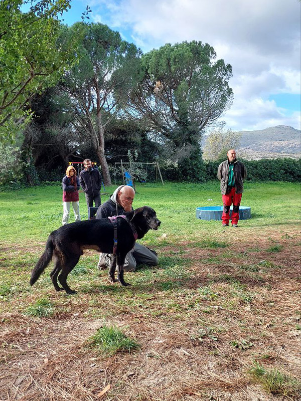 formacion-educacion-canina-madrid