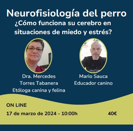 Taller: neurofisiología del perro