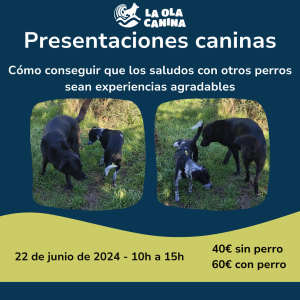 Taller: presentaciones caninas