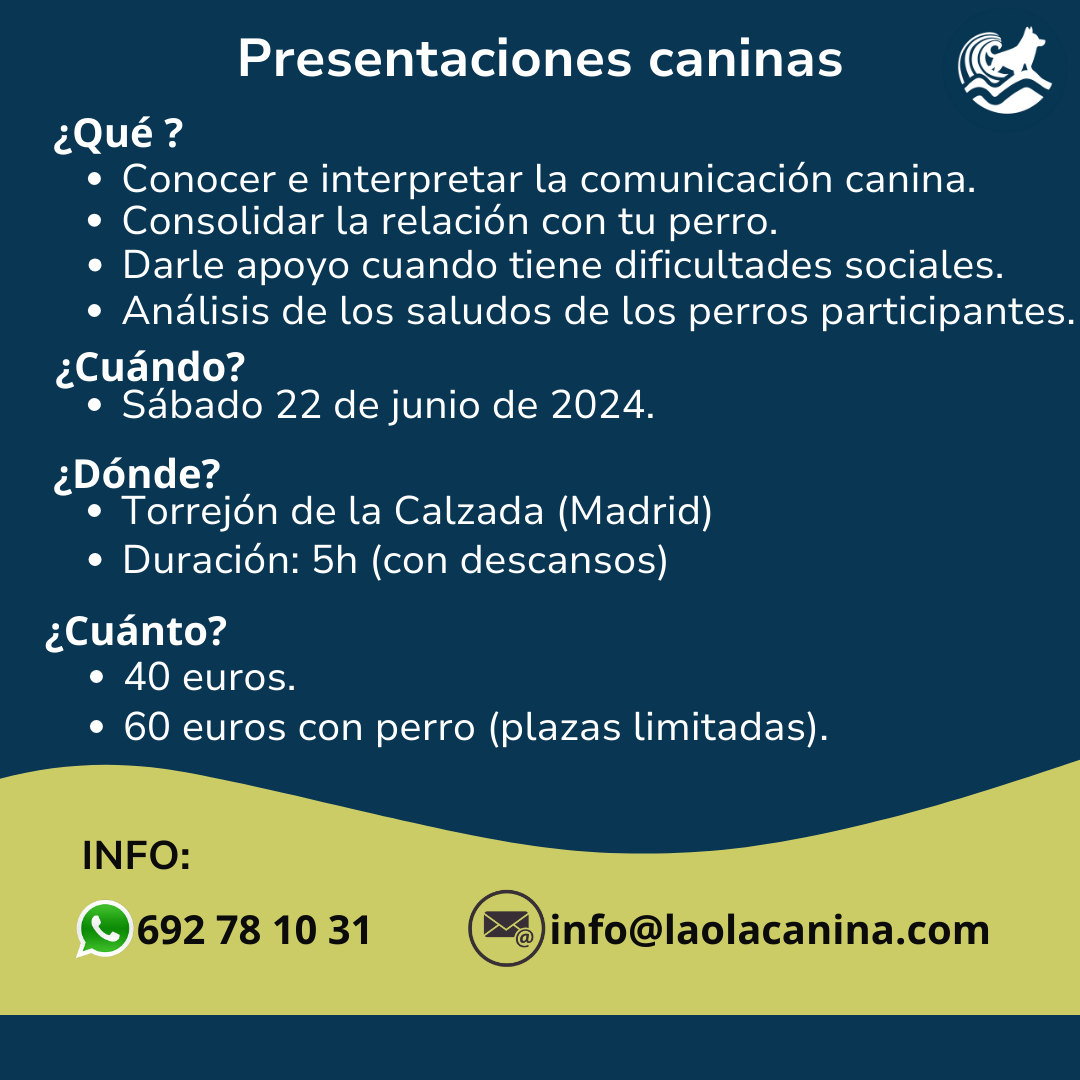 Taller: presentaciones caninas - Imagen 2