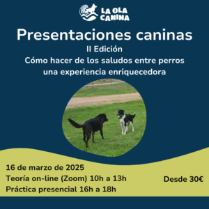 Taller: presentaciones caninas II edición
